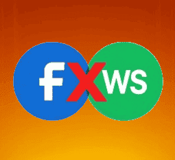 未关联WS-FB